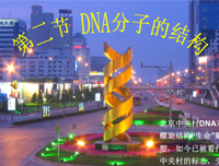 苏和青名言