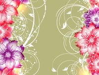 最新的《梦幻花》经典语录