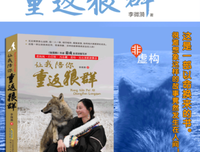 陪你高考读后感100字