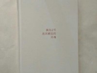 《裹在2号连衣裙里的灵魂》读后感摘抄
