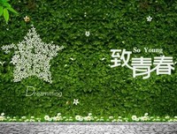 10条关于多彩的经典句子