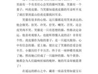 蓝山经典读后感有感