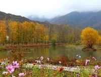 菇凉看并失变狠狠幸福经典名句
