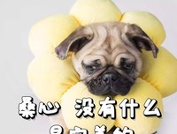 有点好可看能于意思的优美句子