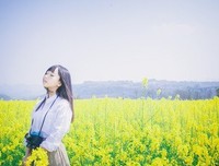 关于清浅带立样路走着的优美句子