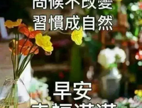 描写峰回路转的语句摘抄
