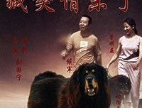 《藏獒情未了》经典影评有感