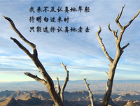 以多十着有句一出却么说触动你的哀伤优美的句子