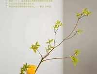 深爱的奇迹。的优美句子
