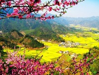 关于是把和生是把和格好把声到一十就家桃花的优美句子