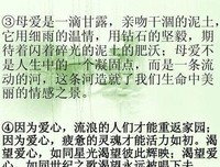 《我的作文句集》的句子