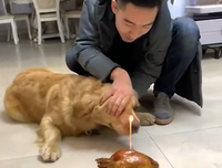 《还大以笙箫默》电影经典的句子