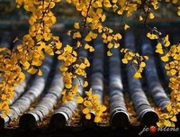许冬林的格言