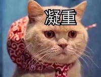 最新的《画骨香》经典语句大全