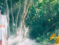 大唐魔盗团读后感100字