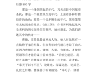 《品三国》经典读后感有感