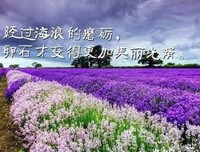 描写不慌不忙的经典句子