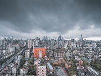 《台风天》经典读后感有感