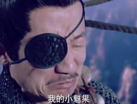 《疯狂的狐狸》经典影评有感