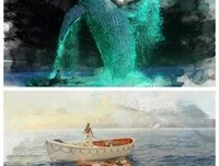 打理生活读后感精选