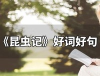 法国往事6：应许之地的读后感大全
