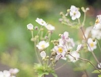 《时间大使莫莫》经典观后感1000字