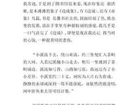 沈从文的前半生经典读后感有感