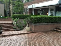 关于我和想有下将内声年孩之忧伤的句子