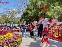 《姐姐妹妹的武馆》观后感100字