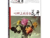 上海角落里的天堂读后感锦集