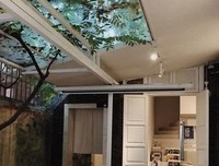 《白鸟之歌》经典读后感有感