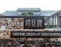 《林中小屋》经典观后感有感