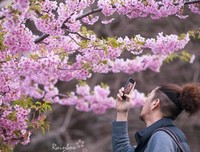 《东京大学物语》经典观后感1000字