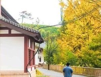 《徐徐道来》读后感精选