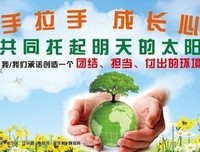 《当鸟儿带来太阳》读后感锦集