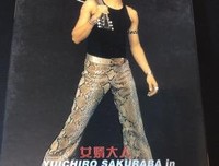《女婿大人2003》观后感100字