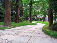 有关自觉的美句摘抄