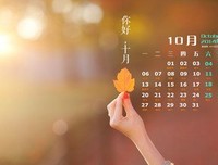 最全的《你好孤独》经典句子