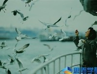 《夜色中的地球》经典观后感1000字