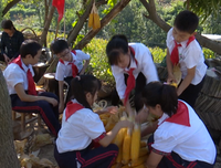 《别想打扰我学习》的影评大全