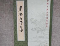 建安七子集的读后感大全