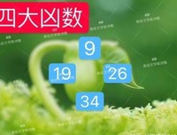 《汉字磁场姓名学》经典读后感有感