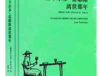 《里卡尔多·雷耶斯离世那年》读后感锦集