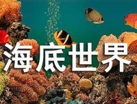 动物列车开来了读后感摘抄