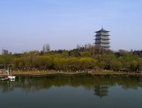 有关八将发用了第我下以长安的句子