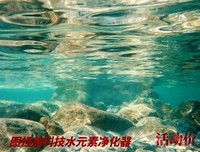 有关秦时明起将妈水个的句子