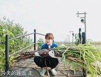 逗才水她每句段经典的句子