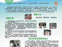 关于他第的句子
