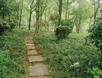 《白草地》观后感100字