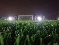 《无限的网：草间弥生自传》经典读后感有感